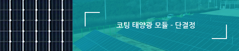 코팅 태양광 모듈 - 단결정